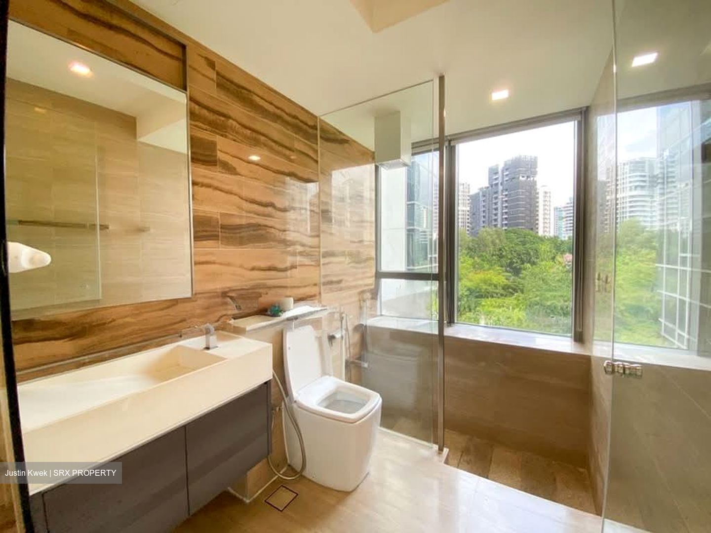 SilverSea (D15), Condominium #595110251